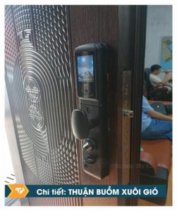 Cửa thép biệt thuận buồm xuôi gió cao cấp 2